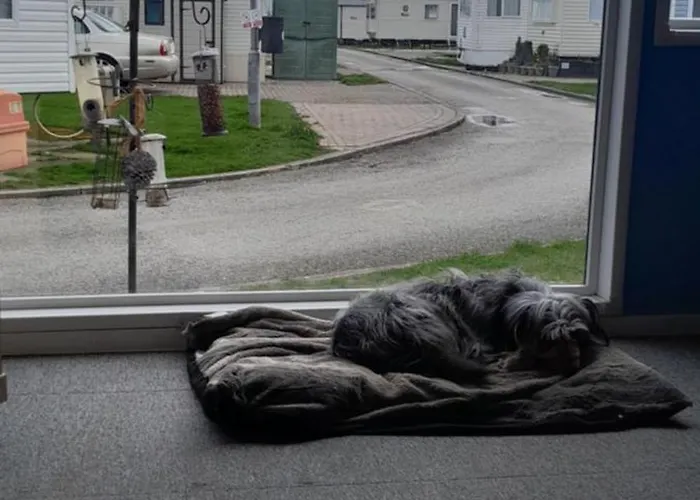 Arual Caravan Manor House Park. Allonby, Cumbria 公寓 *